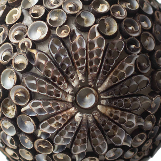 Chocolate-toned seashell globe lamp with floral twist pattern – handcrafted in Indonesia, 15cm diameter, boho coastal lighting.