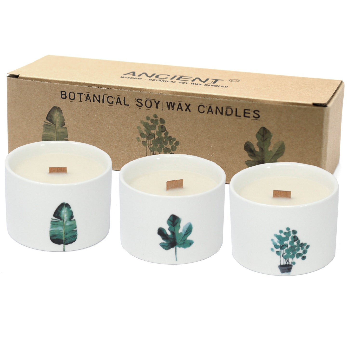 Set of 3 Mulberry Harvest botanical soy candles in ceramic jars with wood wicks and fruity fragrance