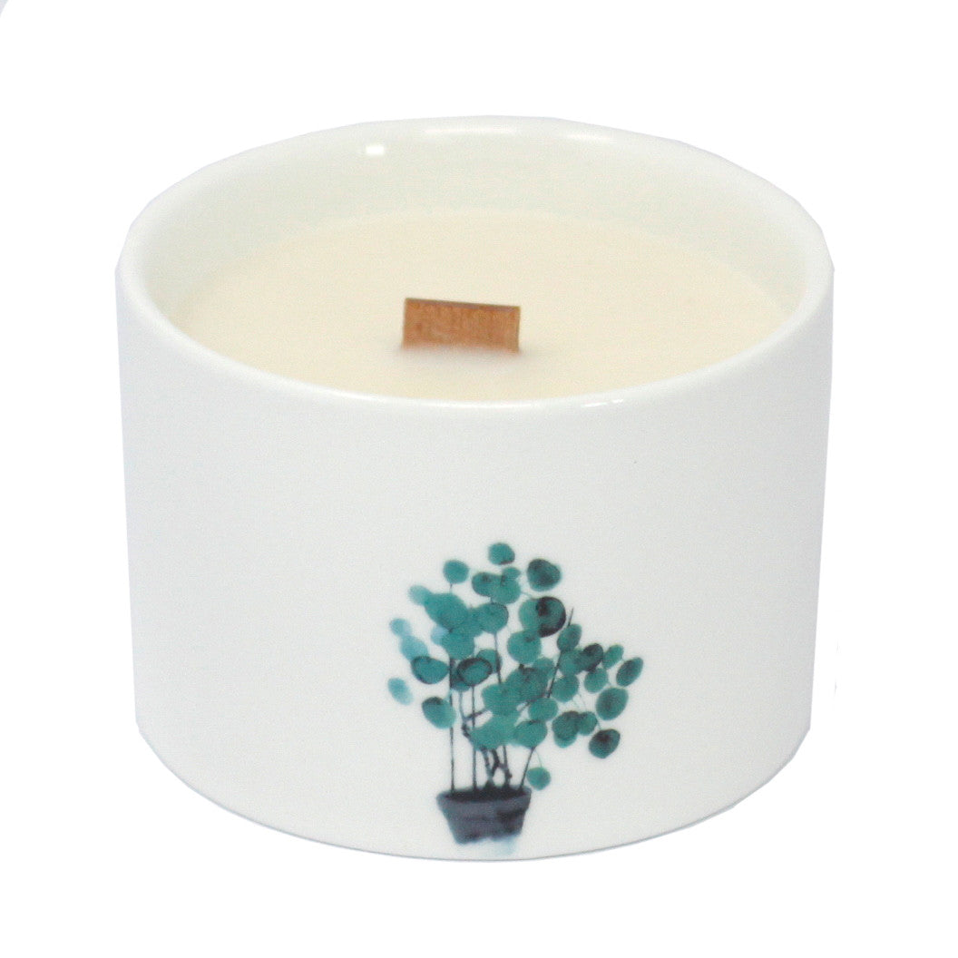 Set of 3 Mulberry Harvest botanical soy candles in ceramic jars with wood wicks and fruity fragrance