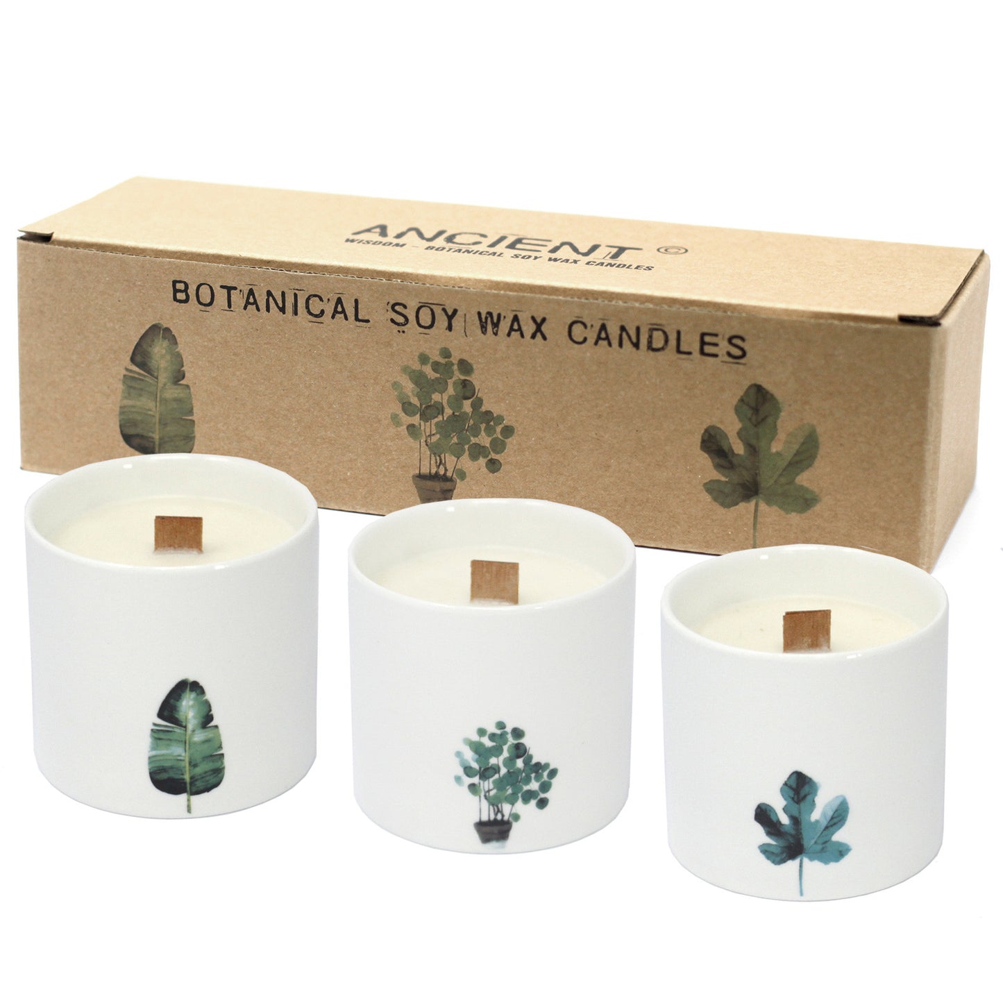 Set of 3 Victorian Peony botanical soy candles in ceramic jars with wooden wicks and soft floral scent