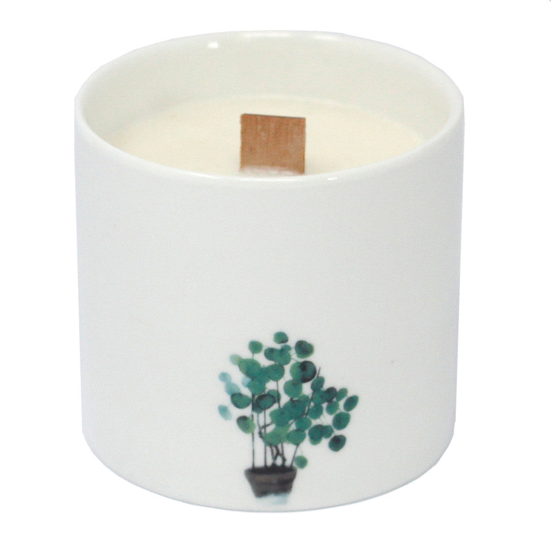 Set of 3 Victorian Peony botanical soy candles in ceramic jars with wooden wicks and soft floral scent
