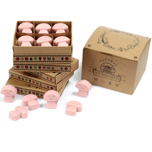 Box of 6 coffee-scented soy wax melts – large luxury café-style fragrance