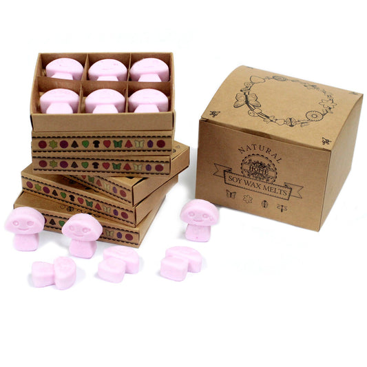 Box of 6 Ylang Ylang soy wax melts – large luxury floral fragrance