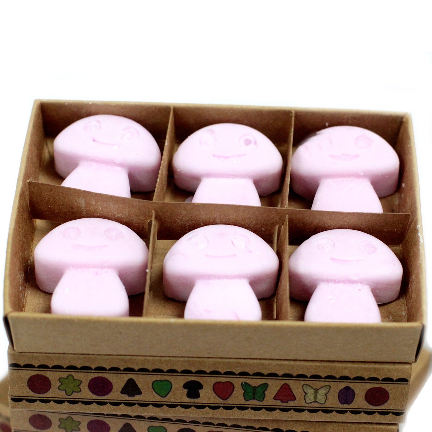 Box of 6 Ylang Ylang soy wax melts – large luxury floral fragrance