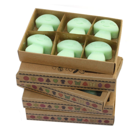 Box of 6 Liquorice soy wax melts – large luxury aniseed-inspired fragrance