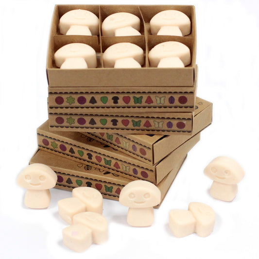 Box of 6 Vanilla Nutmeg soy wax melts – large luxury warm and spicy fragrance