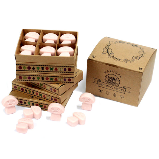 Box of 6 Old Ginger soy wax melts – large luxury warm spicy fragrance