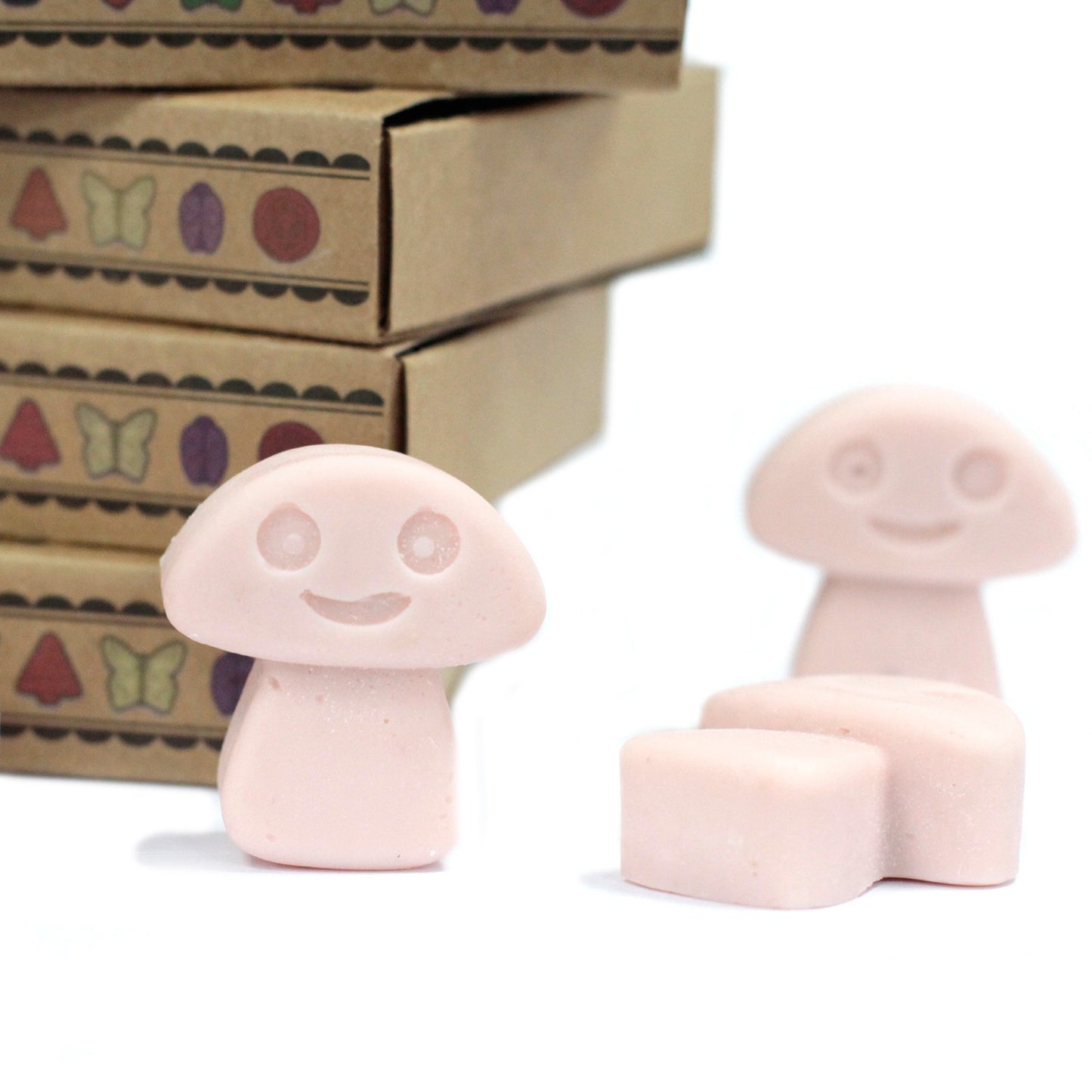 Box of 6 Old Ginger soy wax melts – large luxury warm spicy fragrance