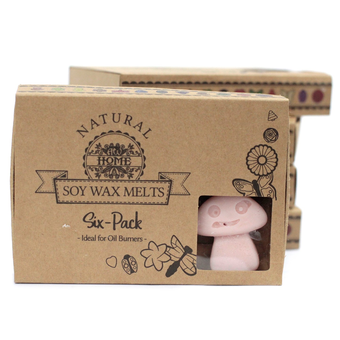 Box of 6 Old Ginger soy wax melts – large luxury warm spicy fragrance