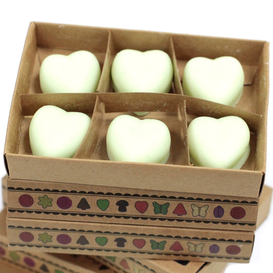 Box of 6 Watermelon Fresh soy wax melts – large luxury fruity summer fragrance