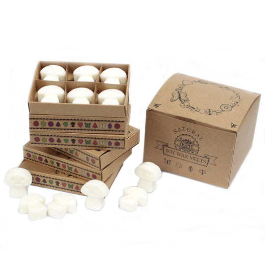Box of 6 White Musk soy wax melts – large luxury soft floral scent