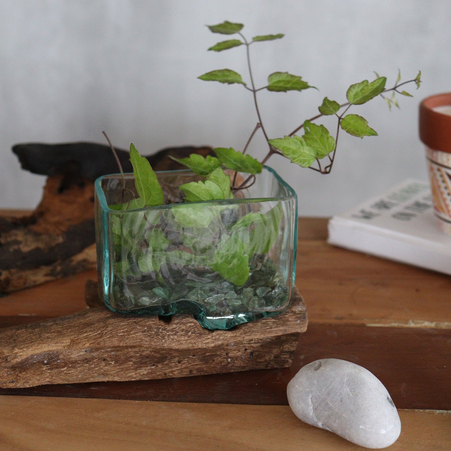 Molten glass rectangular tank bowl on rustic wood base – handmade in Bali