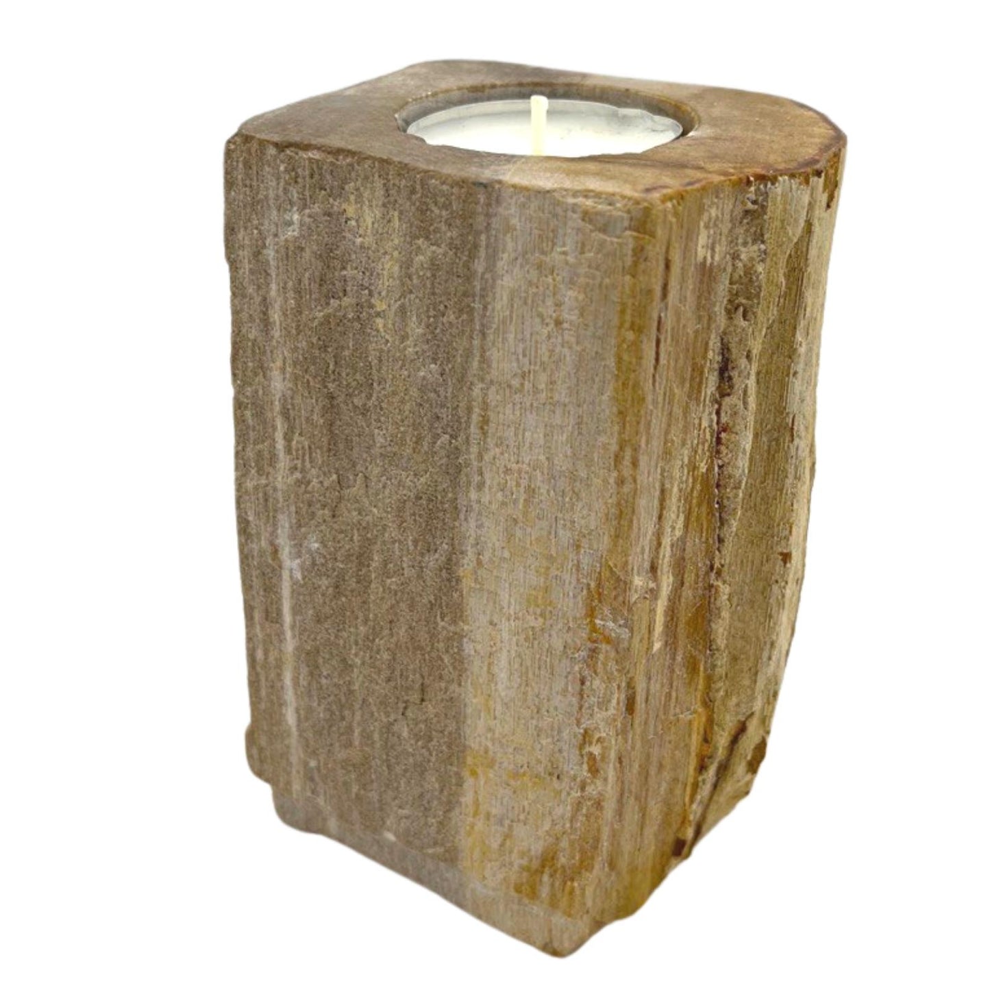 Single tall petrified wood candle holder – sculptural tea light display piece