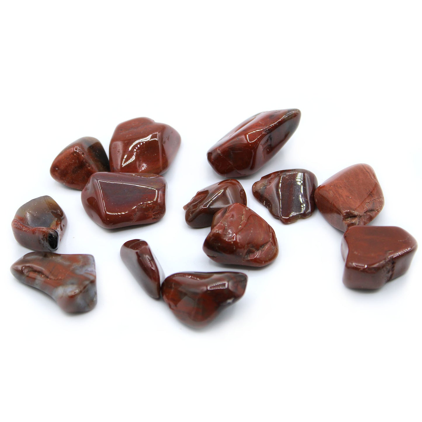 Large tumbled Petrified Wood crystal – earthy fossilised stone for grounding and ancestral connection