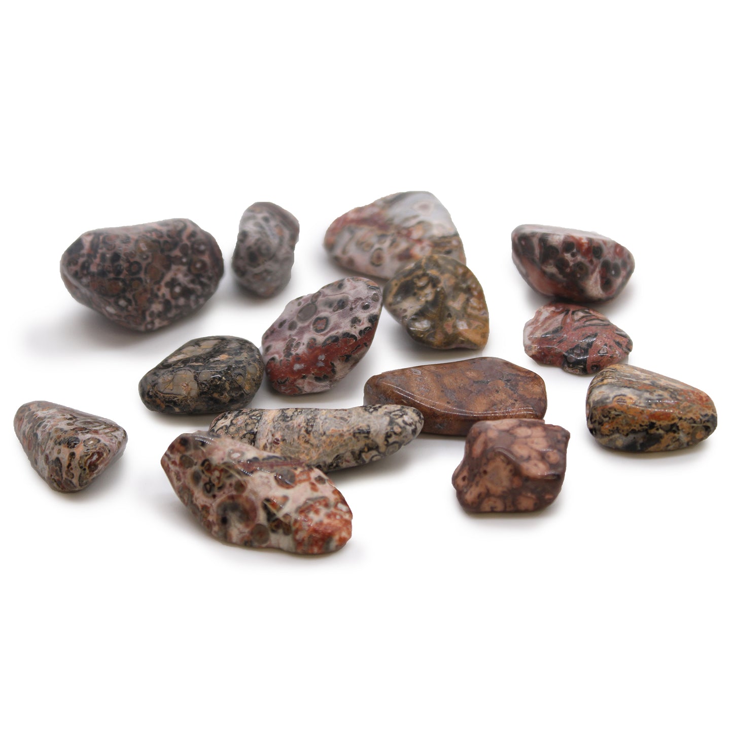 Polished Leopard Skin Jasper tumbled stones (10–25 mm), featuring natural spotted patterns and known for adaptability and spiritual grounding.