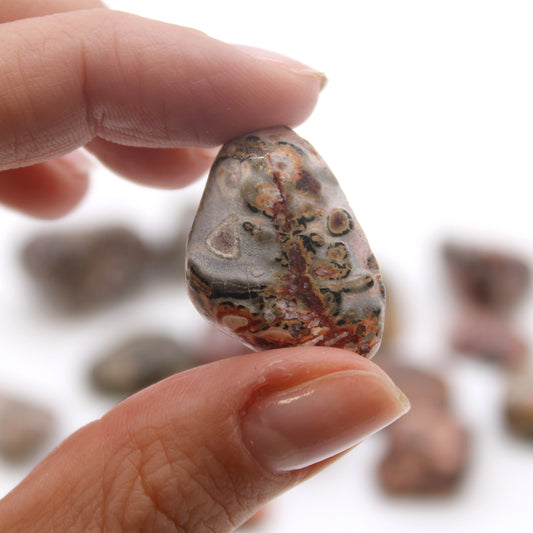 Polished Leopard Skin Jasper tumbled stones (10–25 mm), featuring natural spotted patterns and known for adaptability and spiritual grounding.