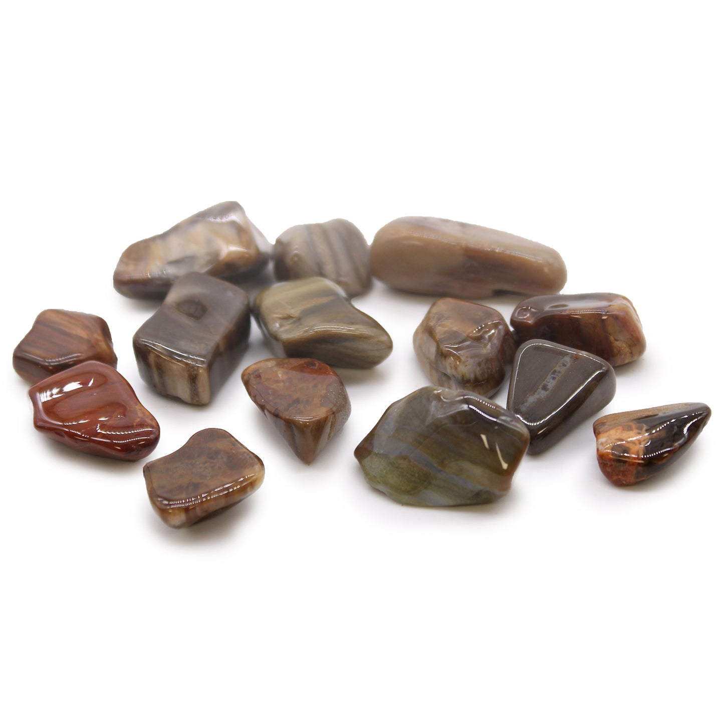 Polished Petrified Wood tumbled stones (10–25 mm), symbolising patience, ancestral wisdom, and grounding energy. Sold in a 24-piece bag.