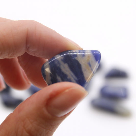 Polished Sodalite tumbled stones (10–25 mm), deep blue with white veining, symbolising truth, intuition, and mental clarity. Sold in a 24-piece bag.