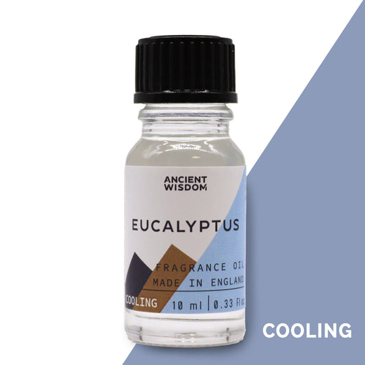 Fragrance Oil – Eucalyptus (10ml) by Ancient Wisdom – cool herbal eucalyptus scent


