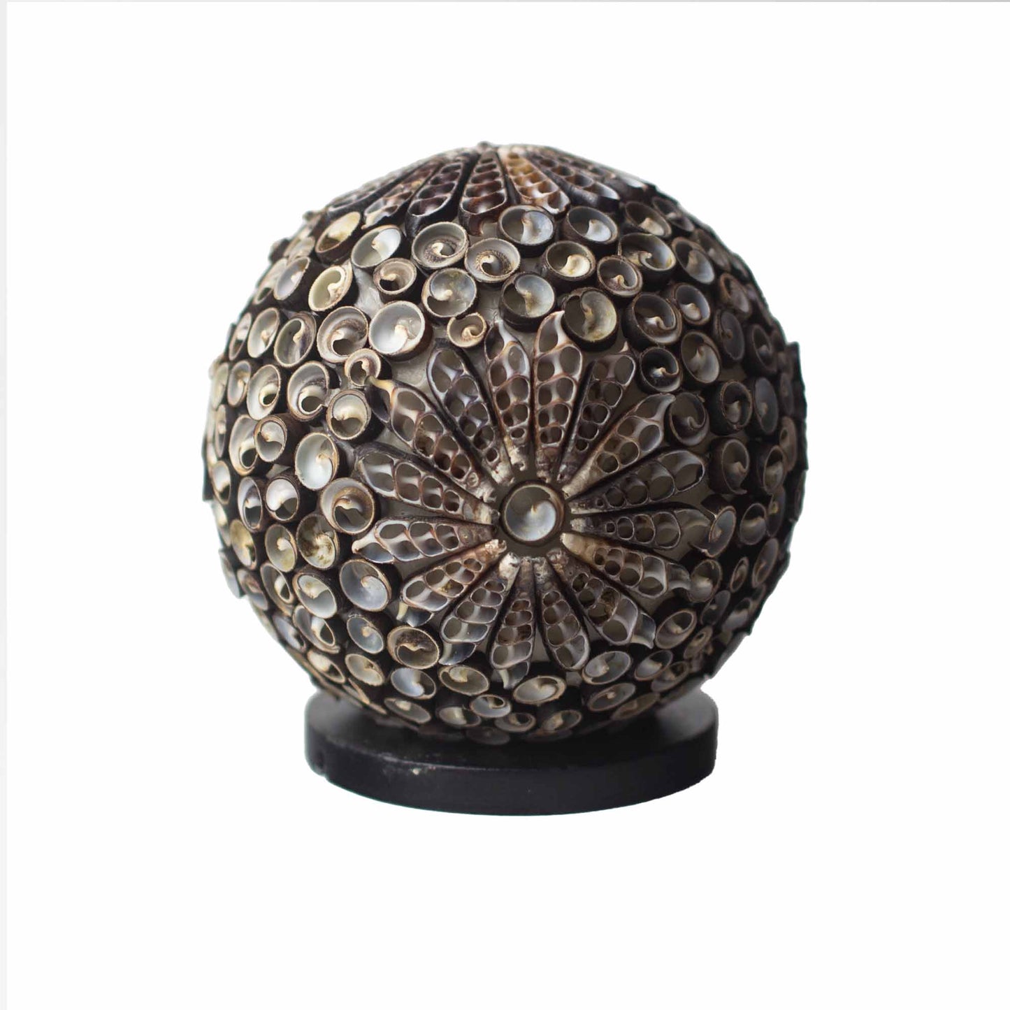 Chocolate-toned seashell globe lamp with floral twist pattern – handcrafted in Indonesia, 15cm diameter, boho coastal lighting.

