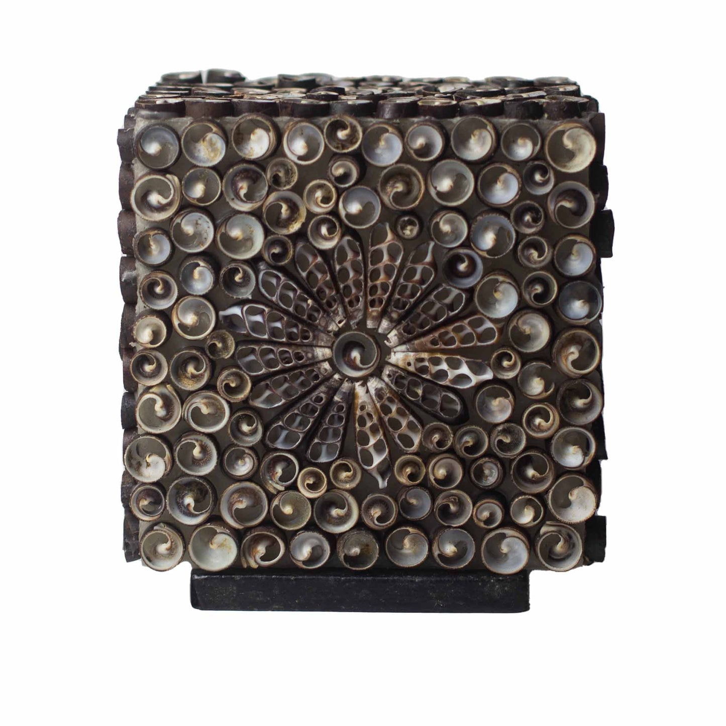 Square-shaped chocolate twist seashell lamp with floral pattern – 15cm, handcrafted in Indonesia with LED bulb included.

