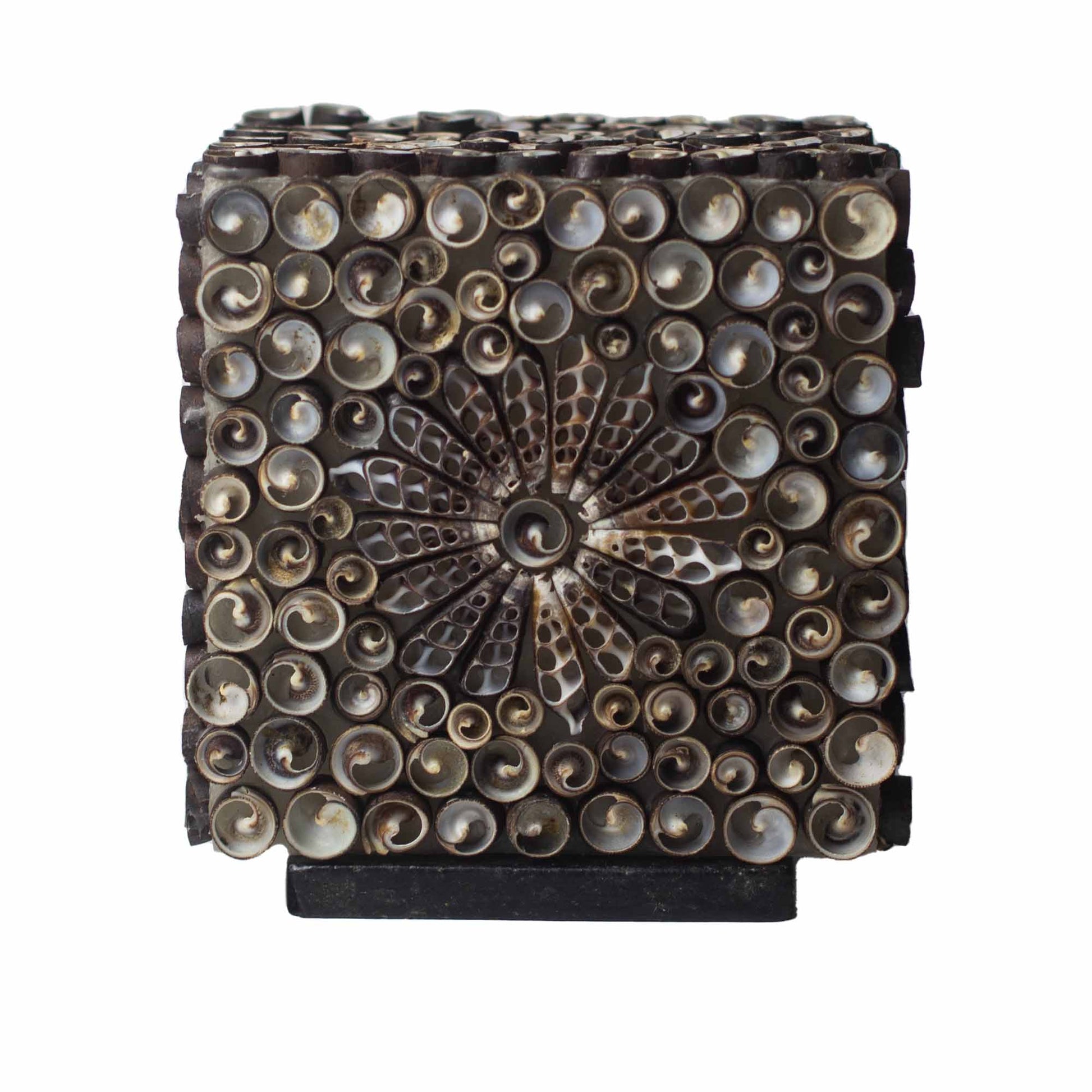 Square-shaped chocolate twist seashell lamp with floral pattern – 15cm, handcrafted in Indonesia with LED bulb included.

