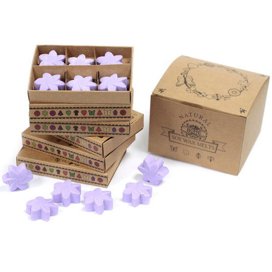 Box of 6 lavender soy wax melts – large luxury melts in cardboard divider packaging

