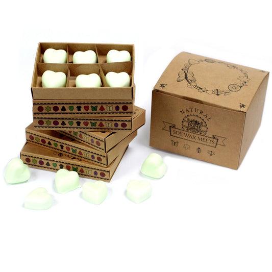 Box of 6 apple spice soy wax melts – large luxury autumn-inspired fragrance


