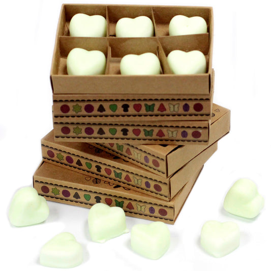 Box of 6 apple spice soy wax melts – large luxury autumn-inspired fragrance

