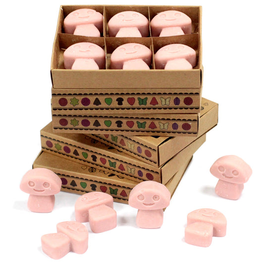 Box of 6 coffee-scented soy wax melts – large luxury café-style fragrance

