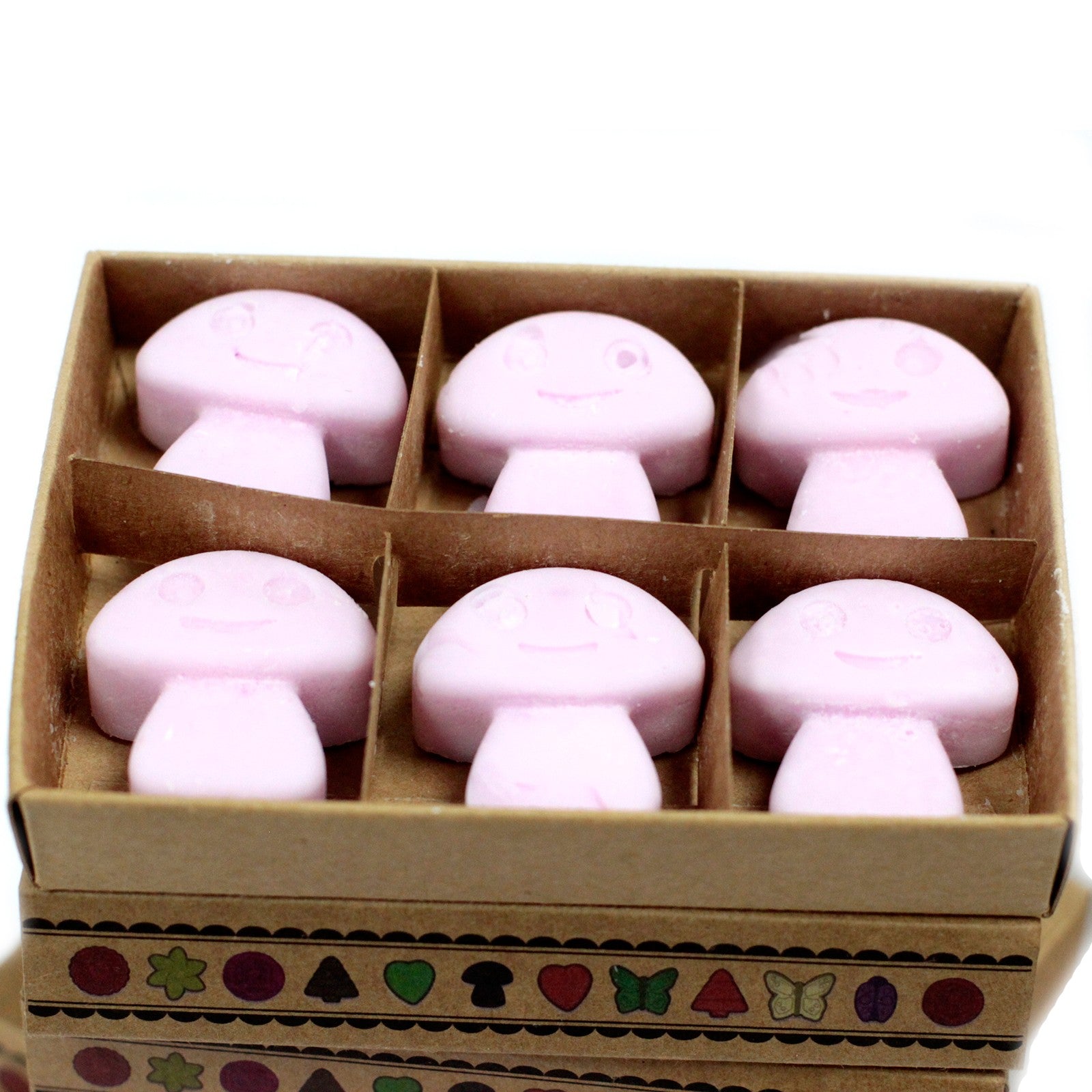 Box of 6 Ylang Ylang soy wax melts – large luxury floral fragrance


