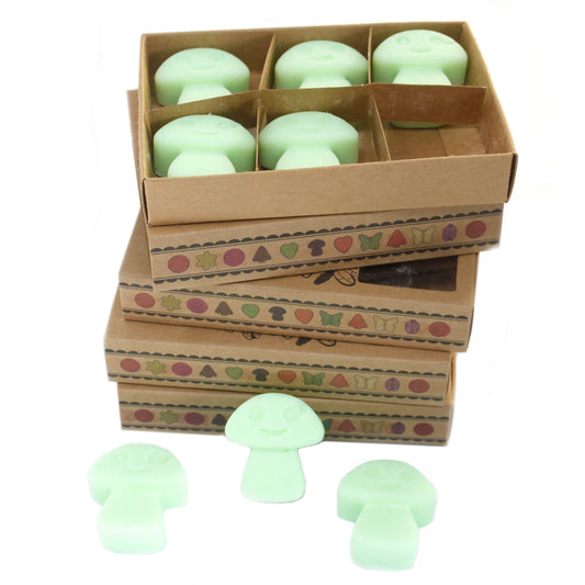 Box of 6 Liquorice soy wax melts – large luxury aniseed-inspired fragrance


