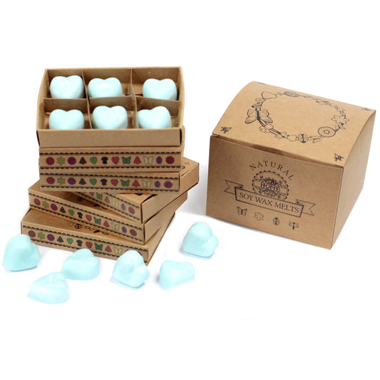 Box of 6 Nagchampa soy wax melts – large luxury spiritual incense scent


