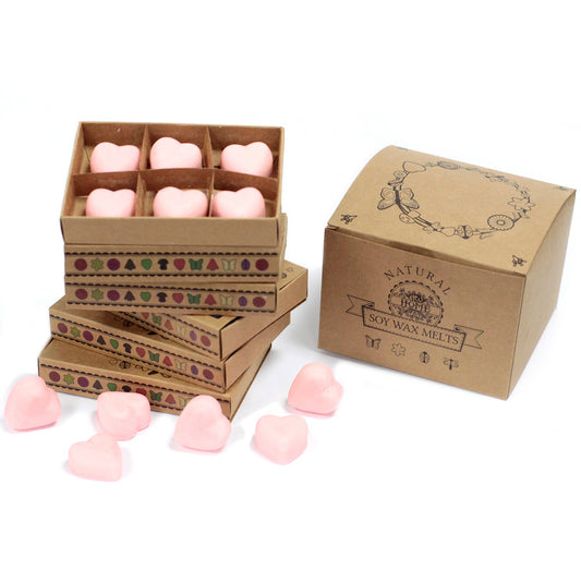 Box of 6 Dragon's Blood soy wax melts – large luxury earthy and mystical scent

