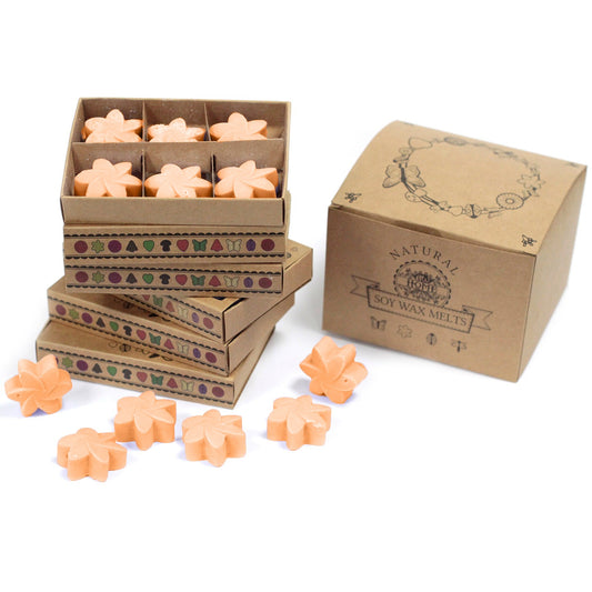 Box of 6 Mango Fruits soy wax melts – large luxury tropical sweet fragrance

