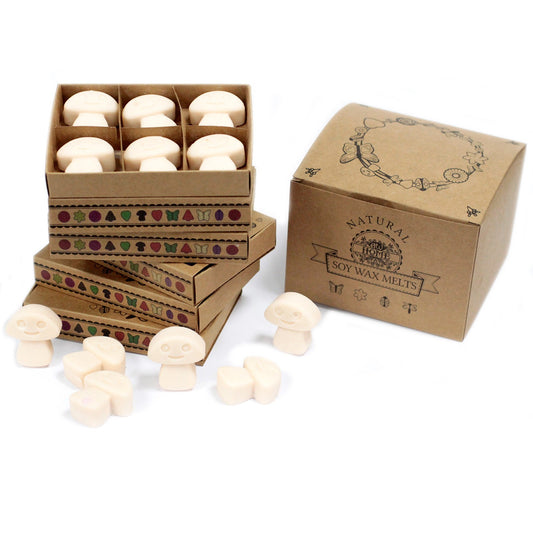 Box of 6 Vanilla Nutmeg soy wax melts – large luxury warm and spicy fragrance

