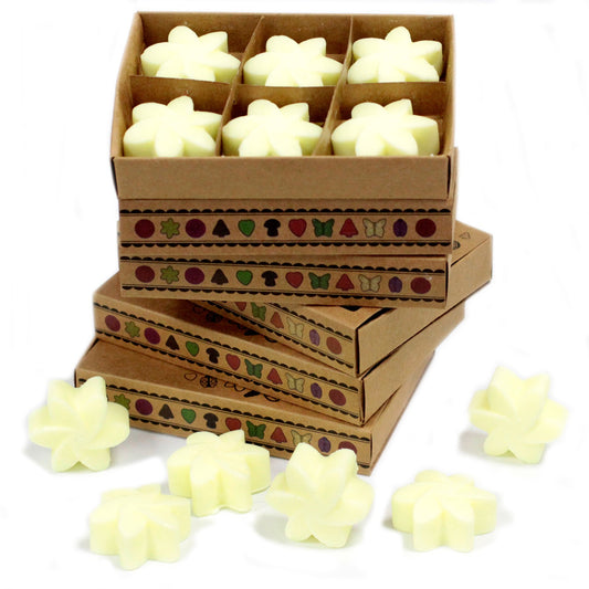 Box of 6 Lemon Harvest soy wax melts – large luxury citrus fresh fragrance

