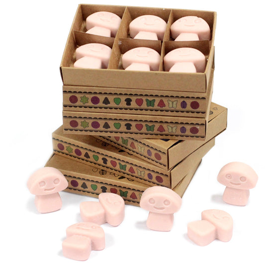Box of 6 Old Ginger soy wax melts – large luxury warm spicy fragrance

