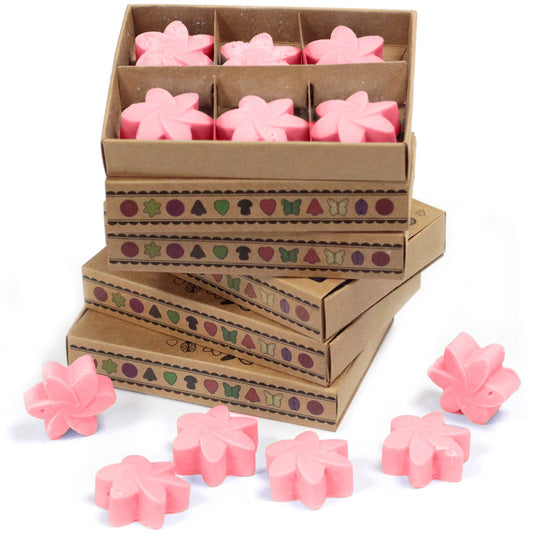 Box of 6 Japanese Magnolia soy wax melts – large luxury floral fragrance

