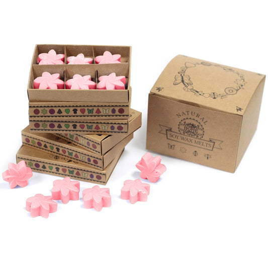 Box of 6 Classic Rose soy wax melts – large luxury romantic floral fragrance

