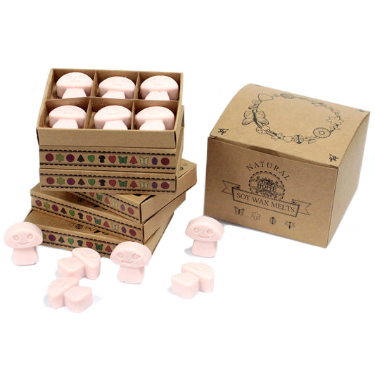 Box of 6 Dark Sandalwood soy wax melts – large luxury woody fragrance

