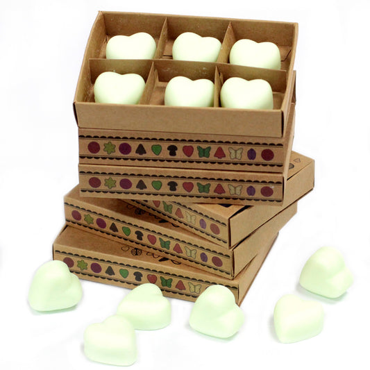 Box of 6 Mint & Menthol soy wax melts – large luxury refreshing scent

