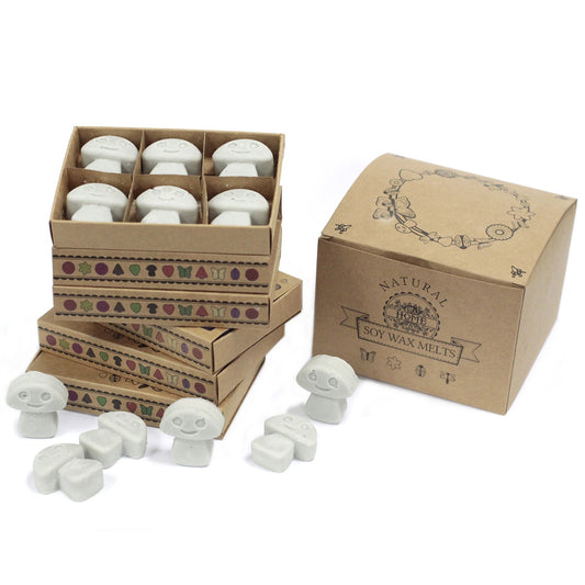 Box of 6 Dark Patchouli soy wax melts – large luxury earthy fragrance

