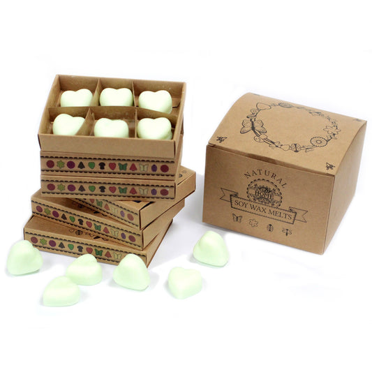 Box of 6 Brandy Butter soy wax melts – large luxury festive fragrance


