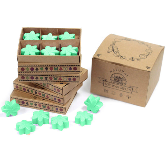 Box of 6 Hidden Garden soy wax melts – large luxury floral green scent

