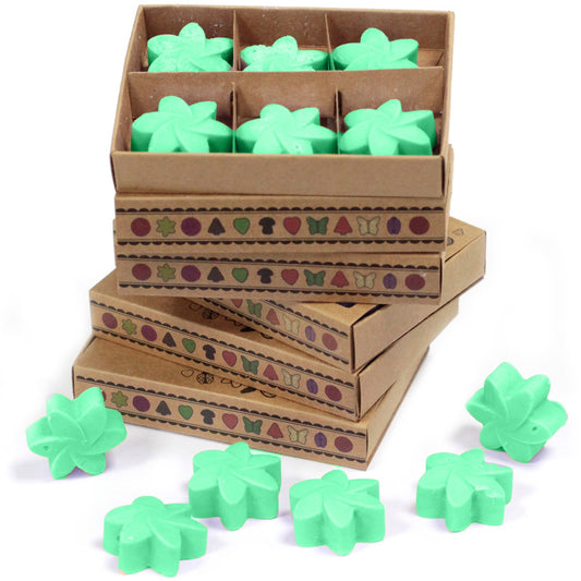 Box of 6 Hidden Garden soy wax melts – large luxury floral green scent

