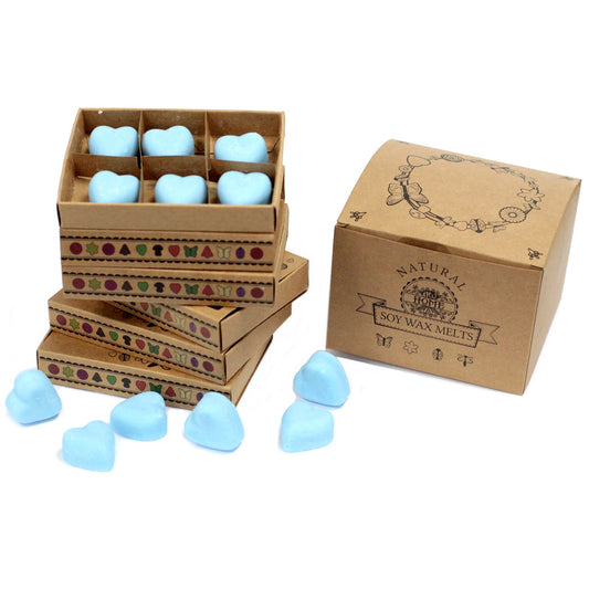 Box of 6 Dewberry soy wax melts – large luxury fruity floral scent

