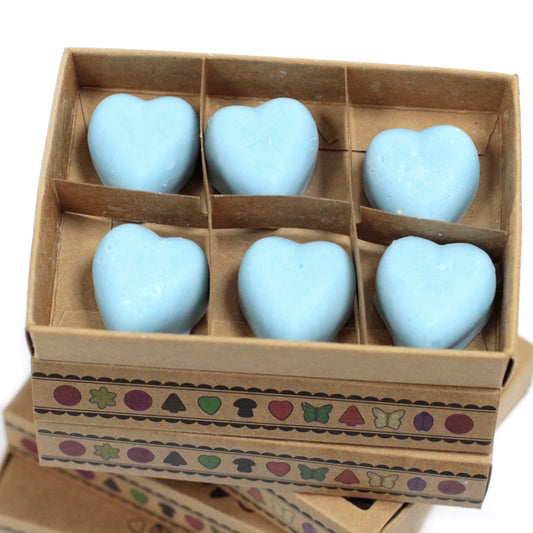 Box of 6 Dewberry soy wax melts – large luxury fruity floral scent

