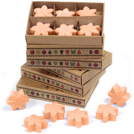 Box of 6 Tuberose soy wax melts – large luxury white floral scent

