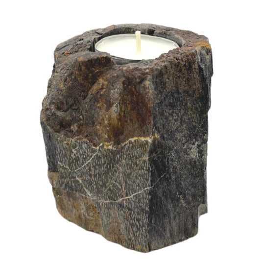 Petrified Wood Candle Holder – Single (Short)